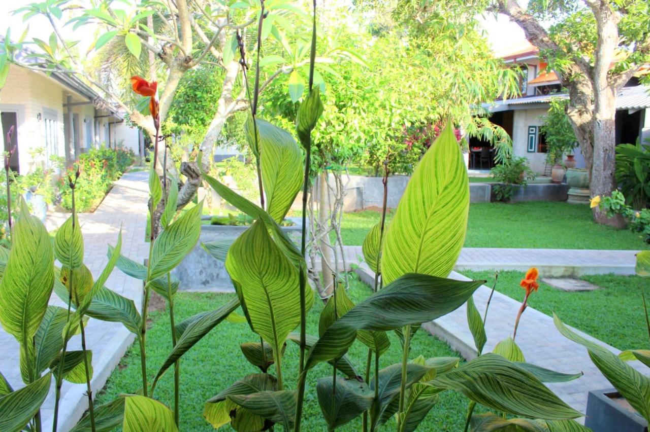 Morning Star Resorts Negombo Exteriér fotografie